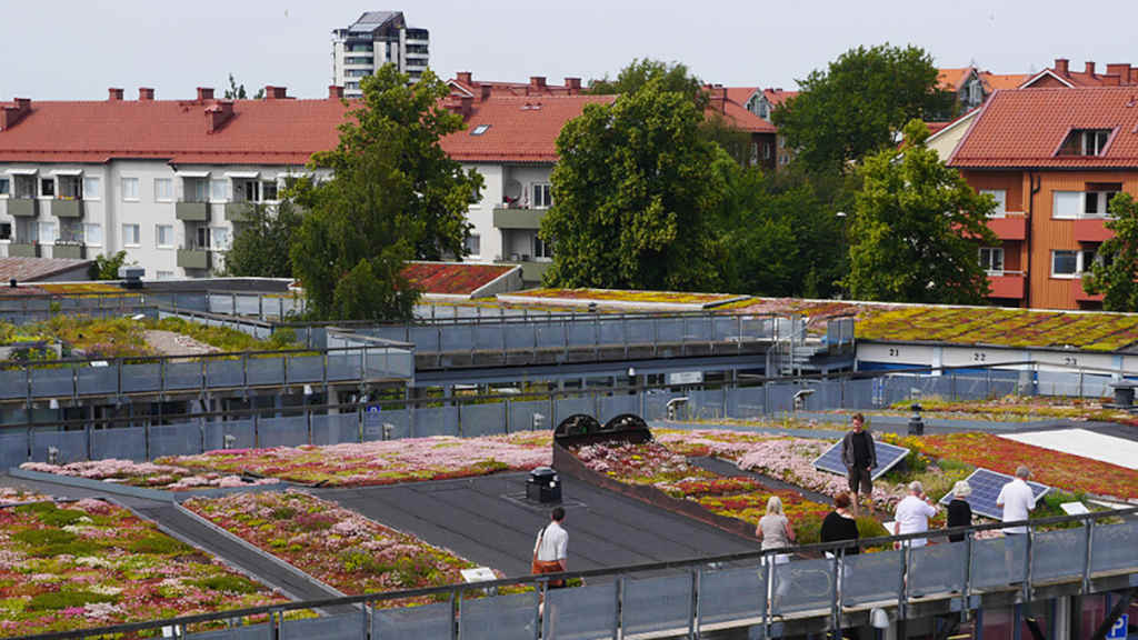 Jardin urbain sur les toits