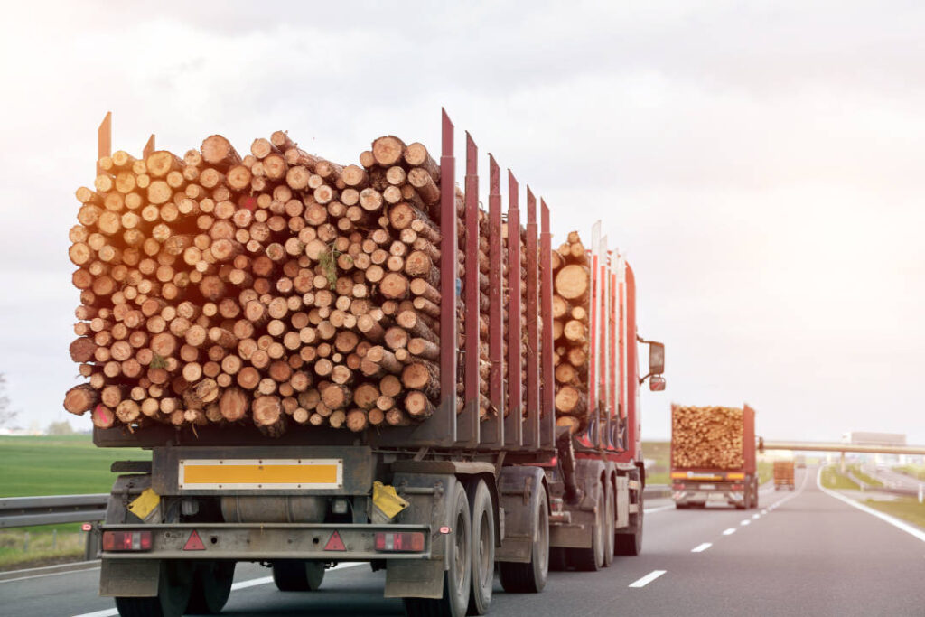 Transport commercial de bois. Transport de grumes par camion, un jour d'été, le long d'une route de banlieue. Concept d'importation commerciale de bois en Europe.