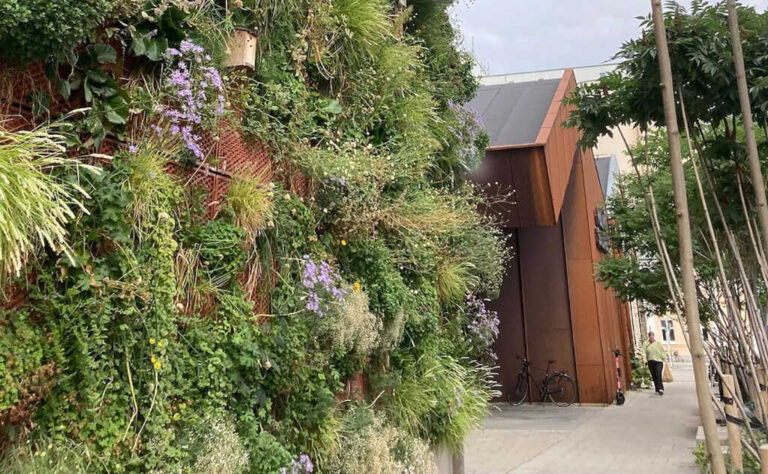 Curated visual reference: Green Roofs In Malmö Scandinavia Helen Johansson S Vision Photo Inspiration