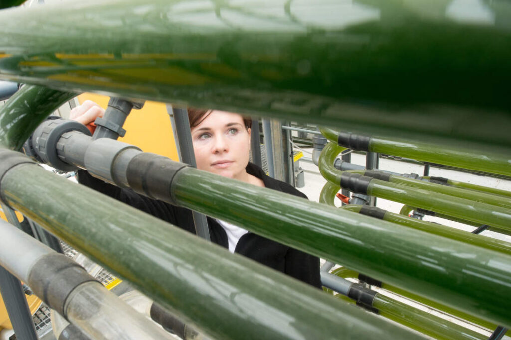 KHGMHJ Kloetze, Allemagne. 2 novembre 2017. Christine Reinhold, assistante de laboratoire chez Roquette, insère des cultures de démarrage de micro-algues dans les réacteurs biologiques à Kloetze, en Allemagne, le 2 novembre 2017. Les micro-algues sont cultivées dans le système de tubes de verre sur une surface de 1,2 hectare pour les comestibles, le fourrage et l'industrie cosmétique. 500 kilomètres de tubes d'une capacité de 600 000 litres ont été installés pour les bio-réacteurs. Crédit : Klaus-Dietmar Gabbert/dpa-Zentralbild/ZB/dpa/Alamy Live News