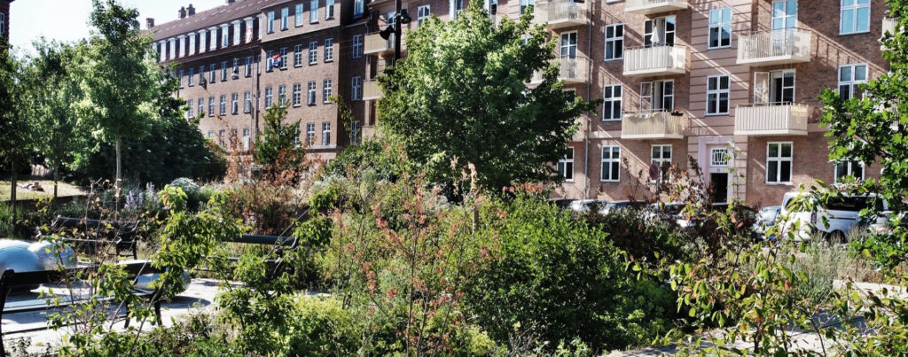 Image de l'article à la une